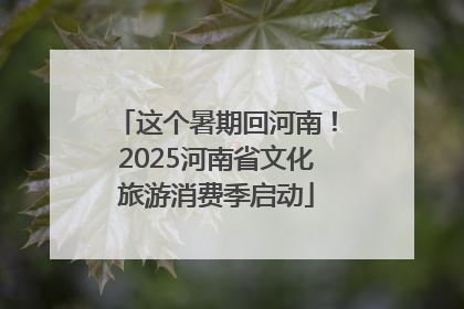 这个暑期回河南！2025河南省文化旅游消费季启动
